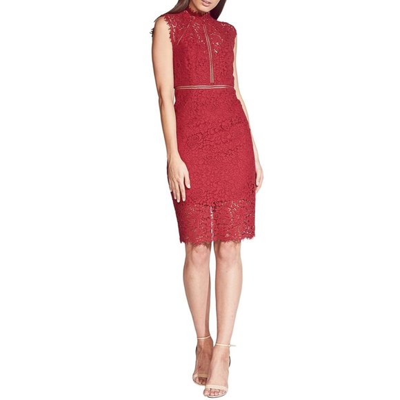 bardot lace panel dress